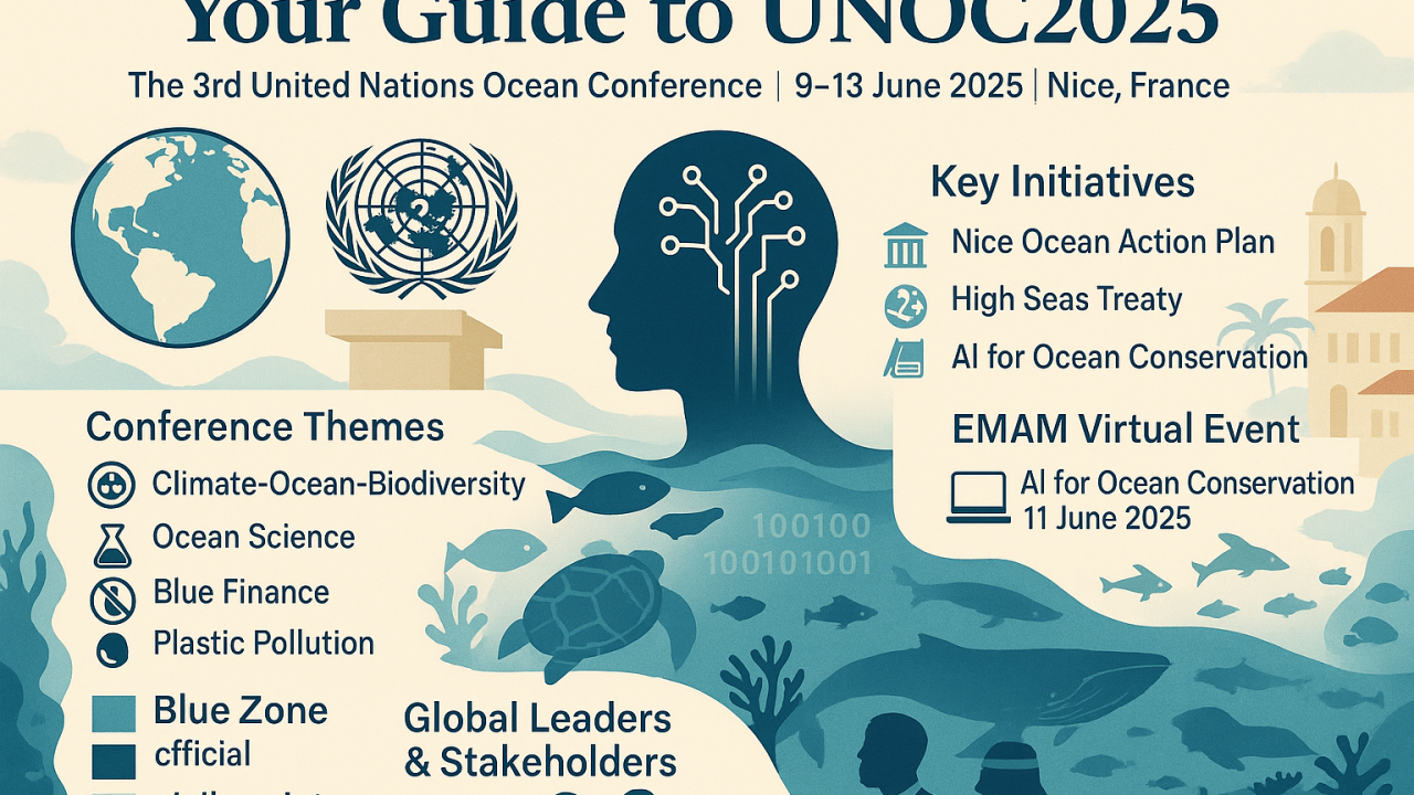 Your Guide to UNOC2025: The 3rd United Nations Ocean Conference in Nice, France