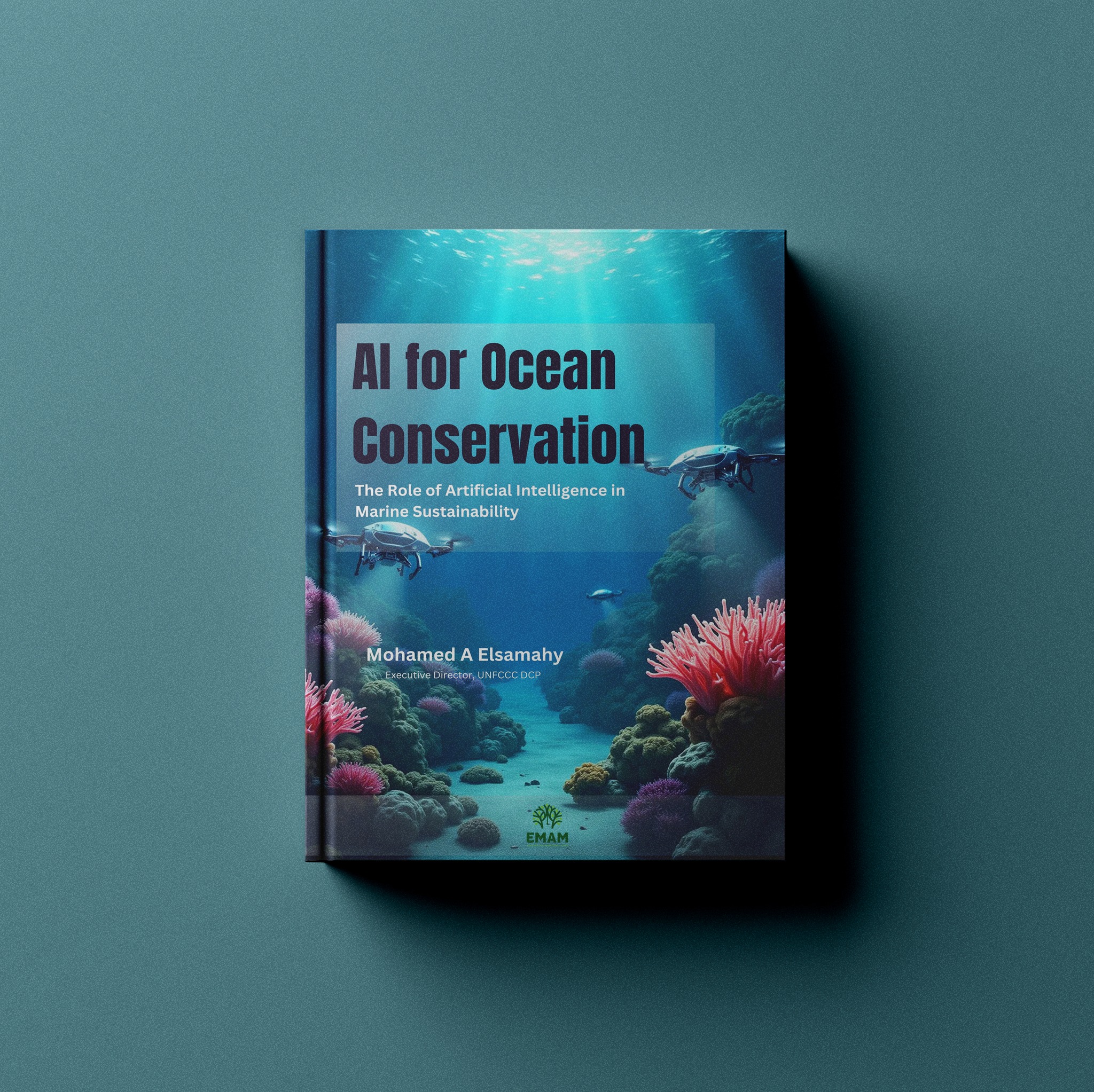 Publication Cover